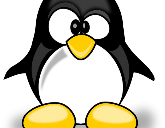 Penguin Update do Google